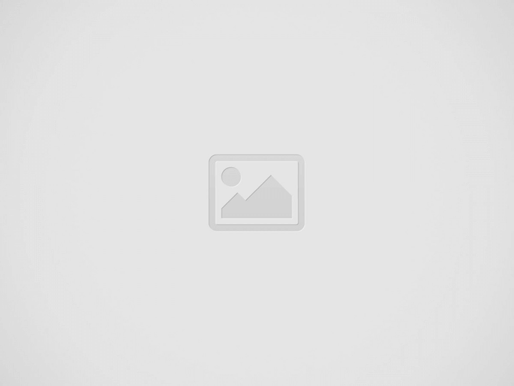 Basement Mold:  The Hidden Danger