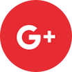 Google+ Icon