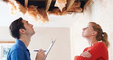 Free Mold Inspections Grand Rapids, MI