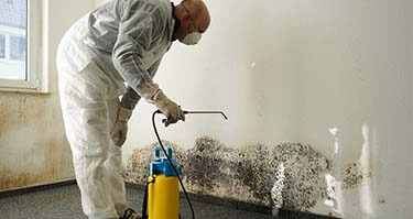 Certified Mold Remediation