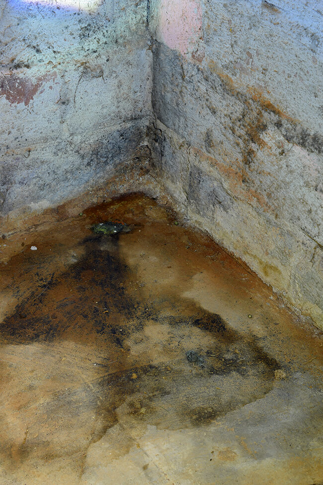 Basement Mold: The Hidden Danger Mold & Air Quality Professionals