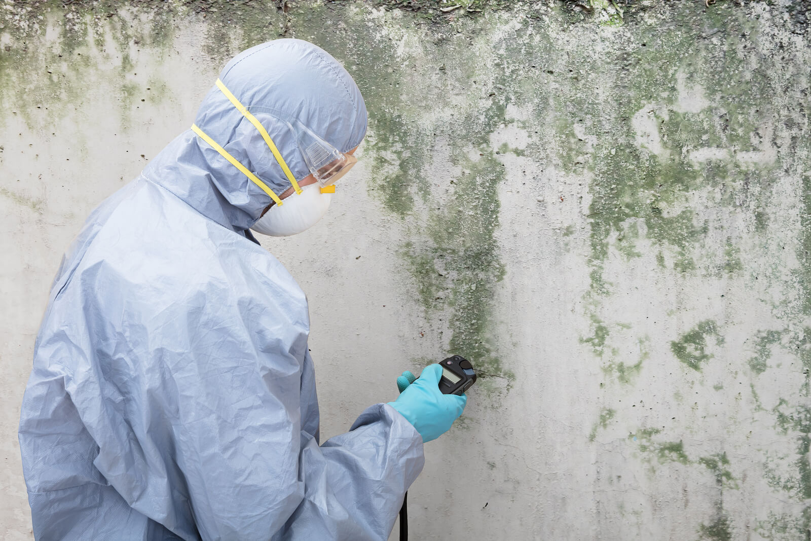 mold remediation Sandy Springs