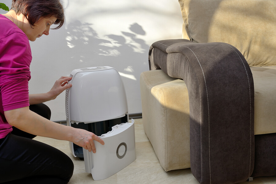 Will A Dehumidifier Kill Mold